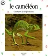 caméléon acrobate multicolore