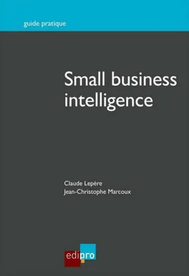Small business intelligence.