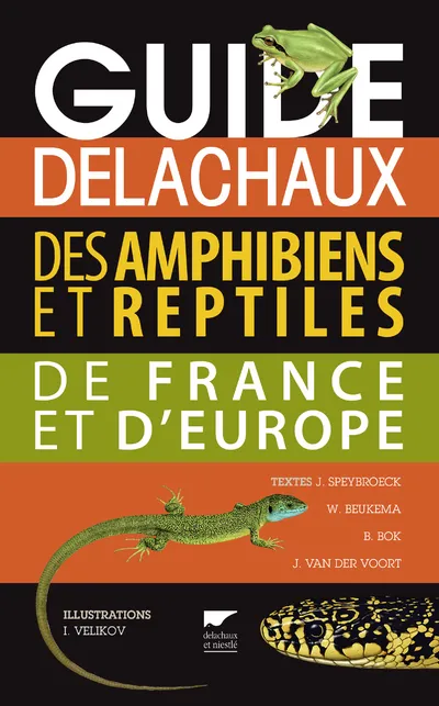 Livres Écologie et nature Nature Faune Guide Delachaux des amphibiens et reptiles de France et d'Europe Jeroen Speybroeck, Wouter Beukema, Bobby Bok, Jan van der Voort