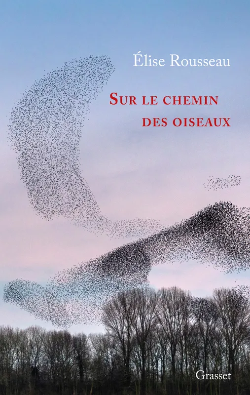 Livres Sciences Humaines et Sociales Actualités Sur le chemin des oiseaux, Récit Élise Rousseau