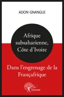 Afrique subsaharienne, Côte d'Ivoire : dans l'engrenage de la Françafrique, dans l'engrenage de la Françafrique