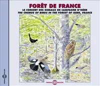 Forêt de France : le concert des oiseaux en Isère