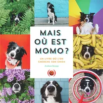 Mais où est Momo ?, Un livre où l'on cherche son chien