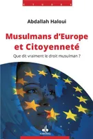 Musulmans d'Europe et citoyenneté, Que dit vraiment le droit musulman ?