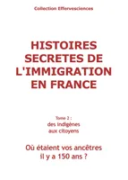 Histoires secretes de l'immigration en France - tome 2, où étaient vos ancêtres il y a 150 ans ?