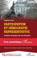 Participation et démocratie représentative, Analyse juridique du cas français