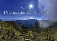 Au cœur du parc national de la Reunion