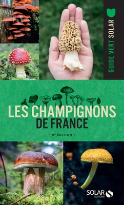 Les champignons de France