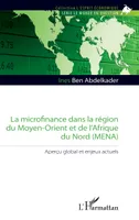 La microfinance dans la région du Moyen-Orient et de l'Afrique du Nord (MENA), Aperçu global et enjeux actuels