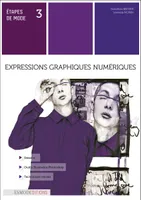 Expressions graphiques numériques, Etapes de mode 3