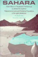 Sahara - Paléomilieux et peuplement préhistorique au paléistocène supérieur, Paleo envivonments and prehistoric Populations in the upper Pleistocene