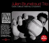 CD / LOOK LIKE TWINS /  BRUNETAUD julien TR