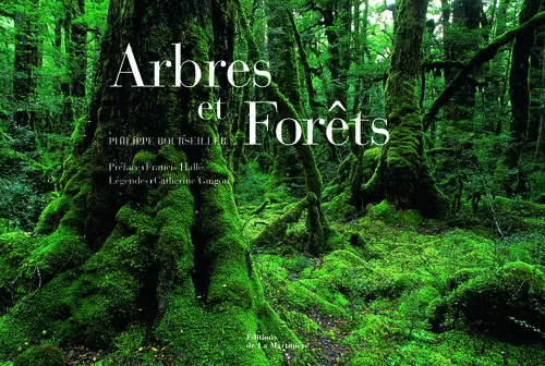 Livres Écologie et nature Nature Beaux Livres ARBRES ET FORETS Philippe Bourseiller