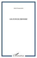 Les Juifs de Zirndorf, roman
