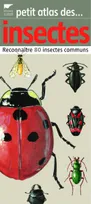 Petit atlas des insectes / reconnaître 80 insectes communs, reconnaître 80 insectes communs
