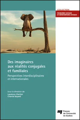 Des imaginaires aux réalités conjugales et familiales, Perspectives interdisciplinaires et internationales