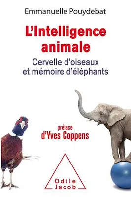 L' Intelligence animale, Cervelle d'oiseaux et mémoire d'éléphants