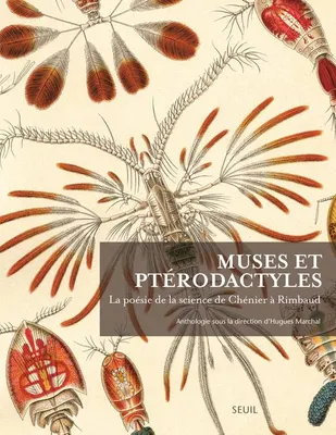 Muses et Ptérodactyles, La poésie de la science de Chénier à Rimbaud