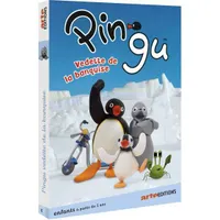 Pingu vedette de la banquise (2022) - DVD