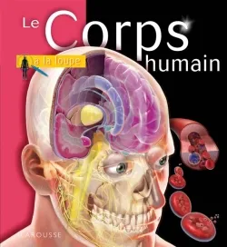 Le Corps humain
