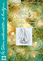 La vie sous-marine en Bretagne / découverte des fonds rocheux, découverte des fonds rocheux