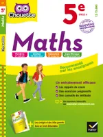 Maths 5e, cahier d'entraînement et de révision