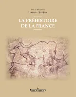 La préhistoire de la France