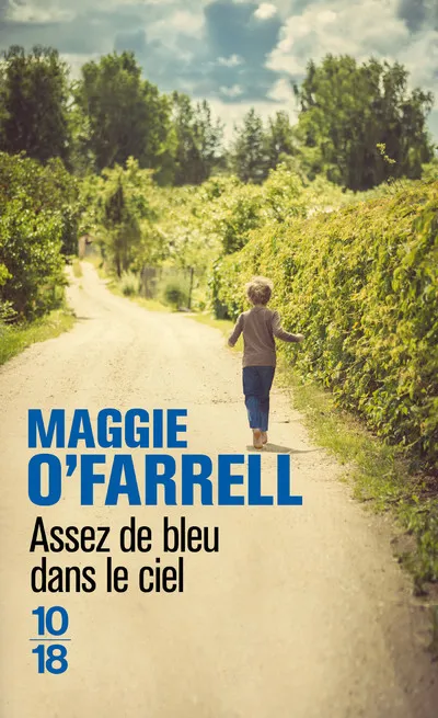 Livres Littérature et Essais littéraires Romans contemporains Etranger Assez de bleu dans le ciel Maggie O'Farrell