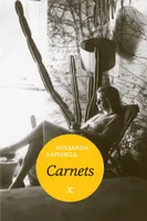 Oeuvres complètes de Goliarda Sapienza, 6, Carnets