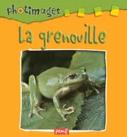 Photimages / La grenouille