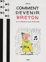 Comment devenir Breton, Ou le rester si vous l'êtes déjà