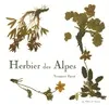 HERBIER DES ALPES (L'), Venance Payot Sylviane De Decker Heftler