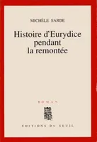 Histoire d'Eurydice pendant la remontée, roman