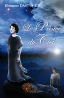 Le Prince du Ciel, roman