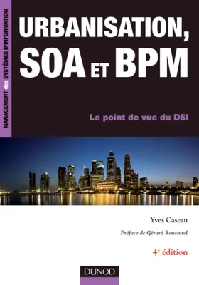 Urbanisation, SOA et BPM - 4ème édition - Le point de vue du DSI, Le point de vue du DSI