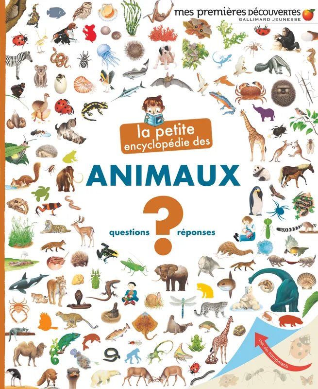 La petite encyclopédie des animaux / questions-réponses, Questions -  réponses Sophie Lamoureux