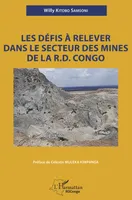 Les défis à relever dans le secteur des mines de la R.D. Congo