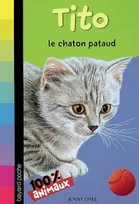 Mes animaux préférés, TITO LE CHATON PATAUD N621