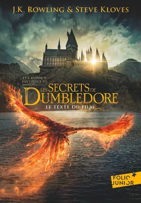 3, Les secrets de Dumbledore, Le texte du film