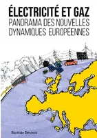 Électricité et gaz, Panorama des nouvelles dynamiques européennes