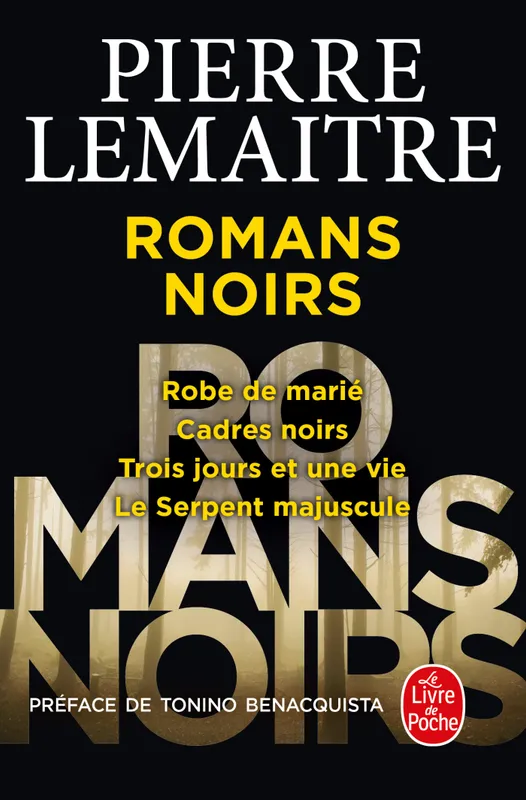 Livres Polar Policier et Romans d'espionnage Les Romans noirs Pierre Lemaitre