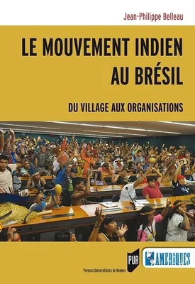 Le mouvement indien au Brésil, Du village aux organisations
