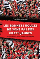 Les Bonnets rouges ne sont pas des gilets jaunes, Archéologie des fureurs populaires en Bretagne