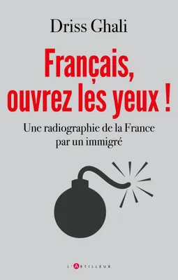 Français, ouvrez les yeux !, Une radiographie de la France par un immigré
