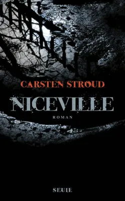 Niceville, roman