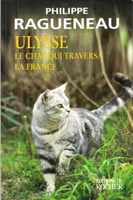 Ulysse, le chat qui traversa la France, Récit