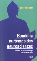 Bouddha au temps des neurosciences - Comment la méditation agit sur notre cerveau, Comment la méditation agit sur notre cerveau