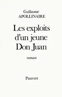 Les Exploits d'un jeune Don Juan, roman