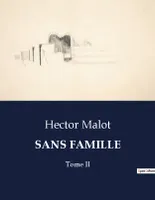 SANS FAMILLE, Tome II