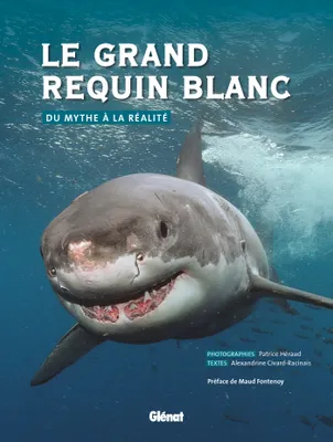 Le grand requin blanc : du mythe à la réalité